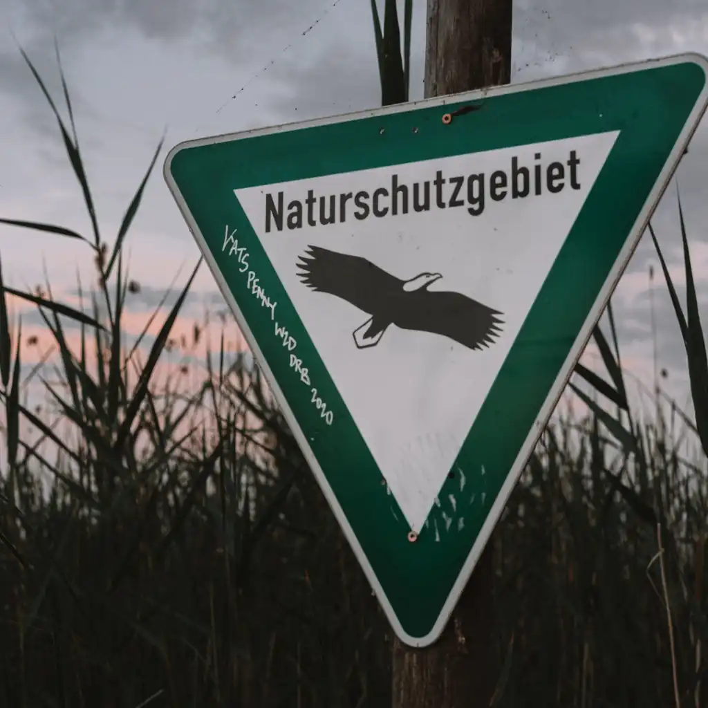 Wirtschaft und Wildnis