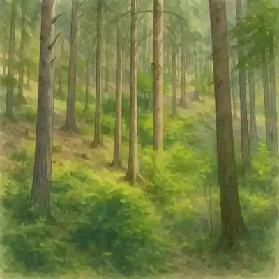 Coaching & Orientierung - Die Welt ist laut. Du bist müde. Und das ist verständlich.