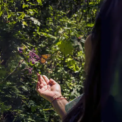 Connect with Nature Walk