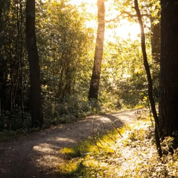 Outdoor Zukunftsperspektive