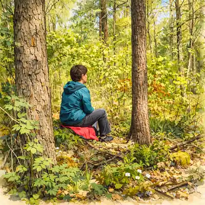 Jahreszeiten im Wald