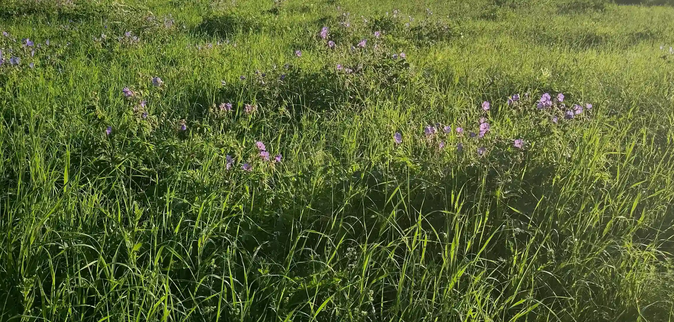 Jugend & Bildung - Junge Menschen brauchen Räume, in denen sie sich selbst verstehen dürfen.