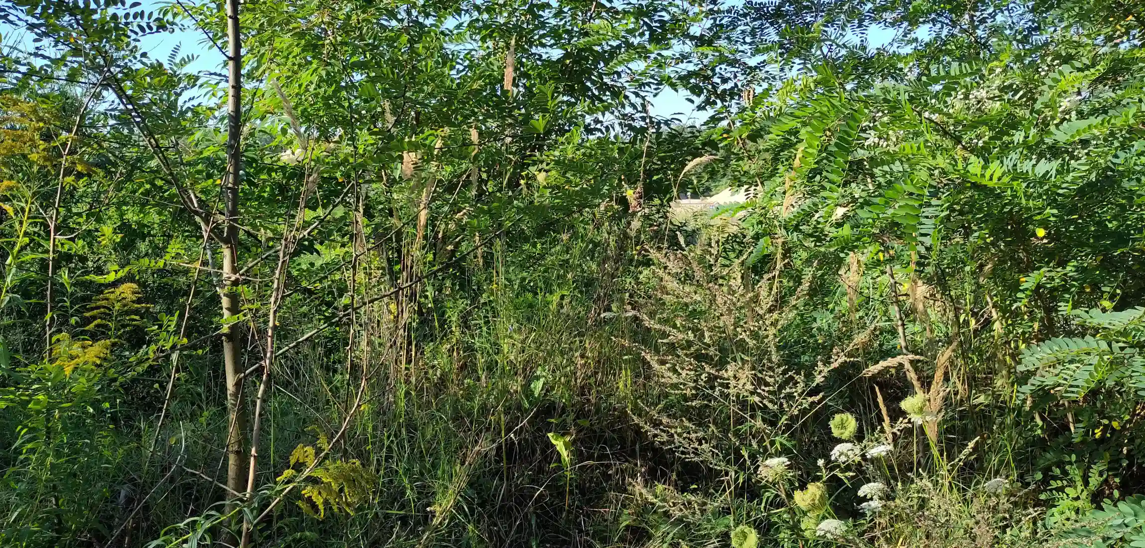 Teams & Organisationen - Wandel ist keine Phase – er ist der neue Normalzustand.