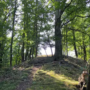 Ein dünner Pfad führt auf einem bewaldetem Bergkam entlang