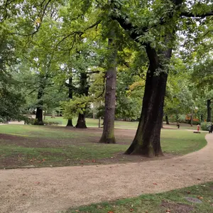 Ein Spazierweg in einem aufgeräumten Park.