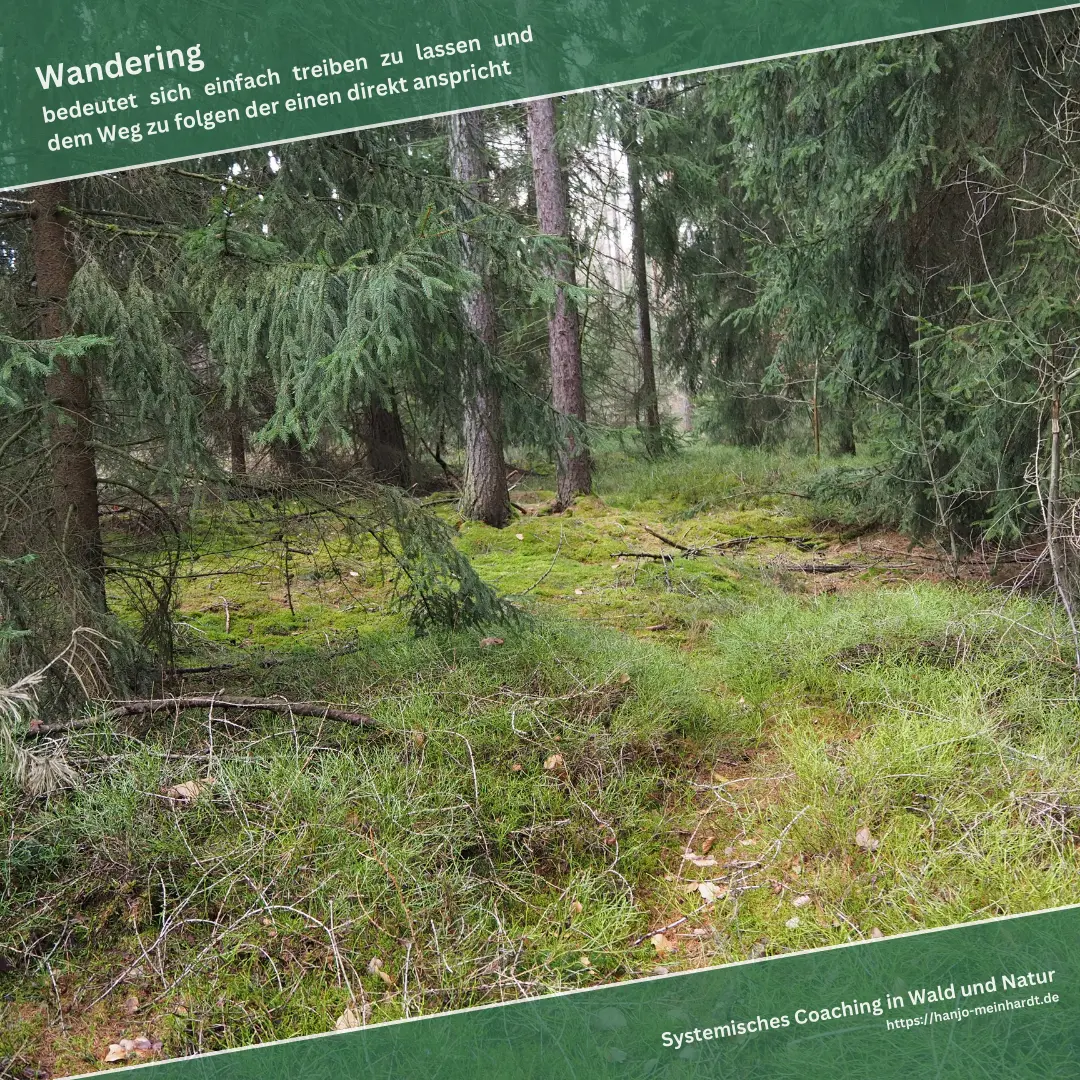 Ein kaum zu erkennender Pfad im Wald. Darüber als Überschrift - Wandering bedeutet sich einfach treiben zu lassen und dem Weg zu folgen der einen direkt anspricht.