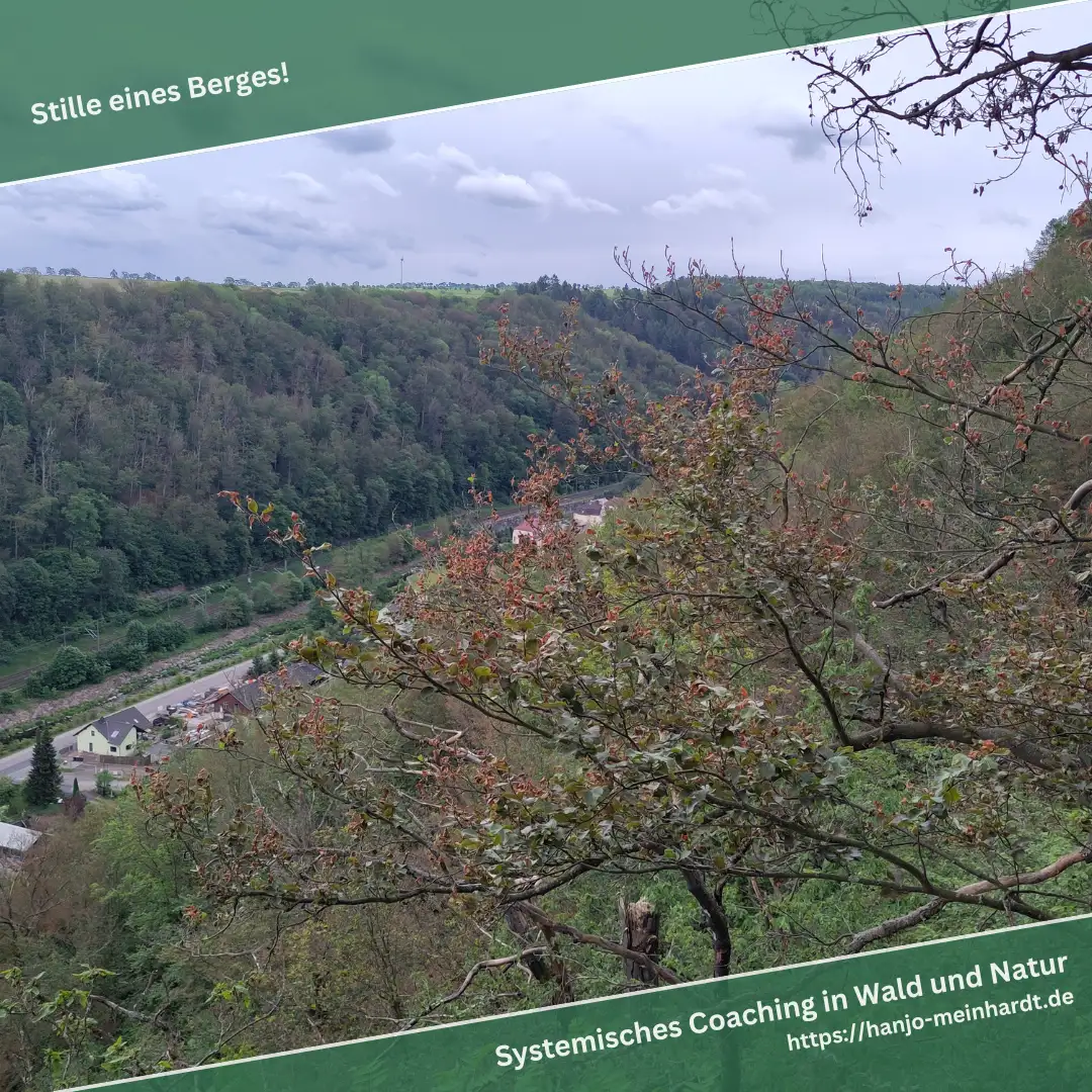 Das Bild zeigt eine hügelige Landschaft mit dicht bewaldeten Berghängen. Im Vordergrund sind Zweige mit roten und grünen Blättern zu sehen, die den Blick auf das Tal verdecken. Im Tal verläuft eine Straße mit einigen Häusern. Der Himmel ist bewölkt. Oben im Bild steht der Text 