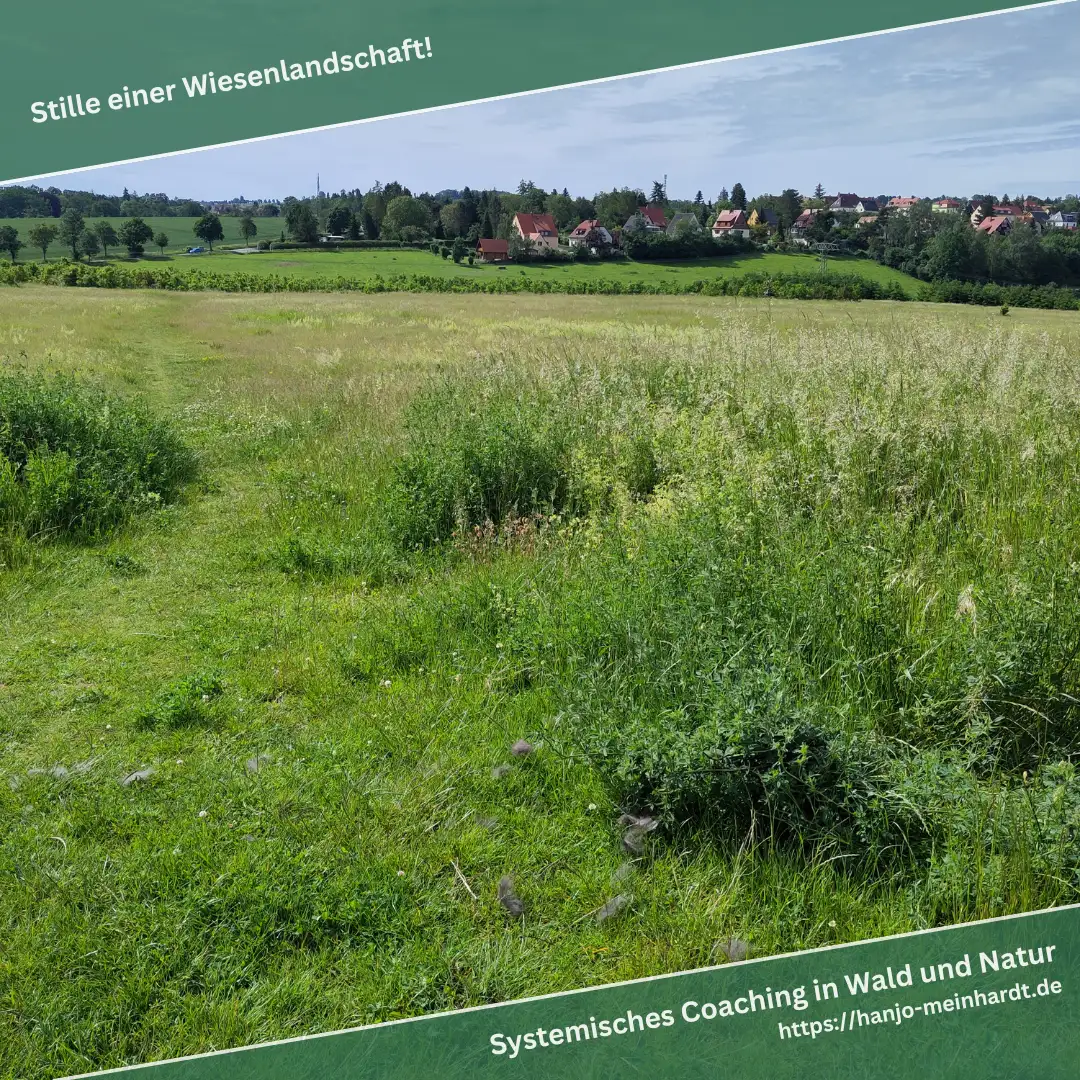 Das Bild zeigt eine weitläufige Wiesenlandschaft mit saftigem grünen Gras und vereinzelten Büschen. Im Hintergrund sind einige Häuser und Bäume zu sehen. Der Himmel ist leicht bewölkt. Oben im Bild steht der Text 