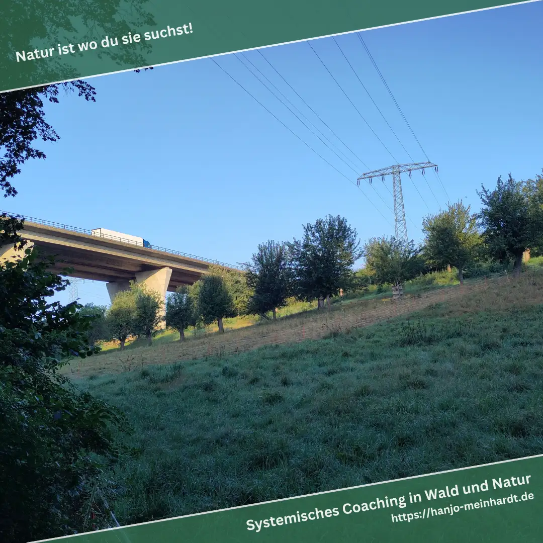 Eine Brücke, auf der ein Lastwagen fährt, überquert eine grüne Wiese. Im Hintergrund sind Strommasten und Bäume zu sehen, die unter der Brücke stehen. Der Himmel ist klar und blau.